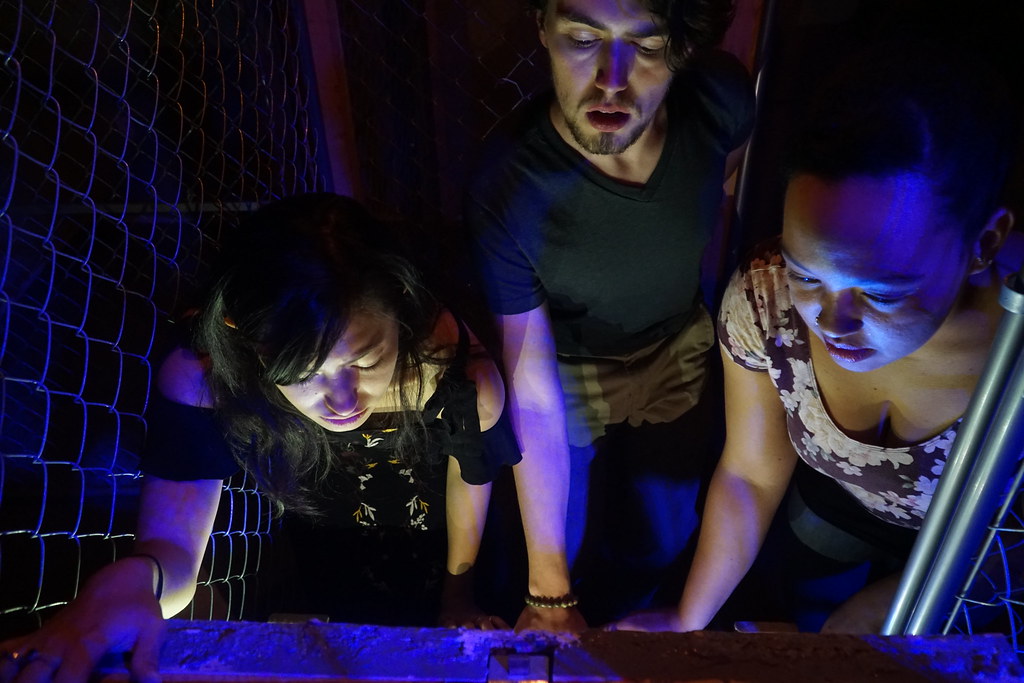 A group looks on as they are trapped in a small room.