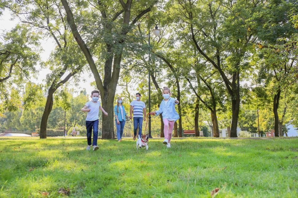 Children playing in a sunny park with trees and laughter in the air.
