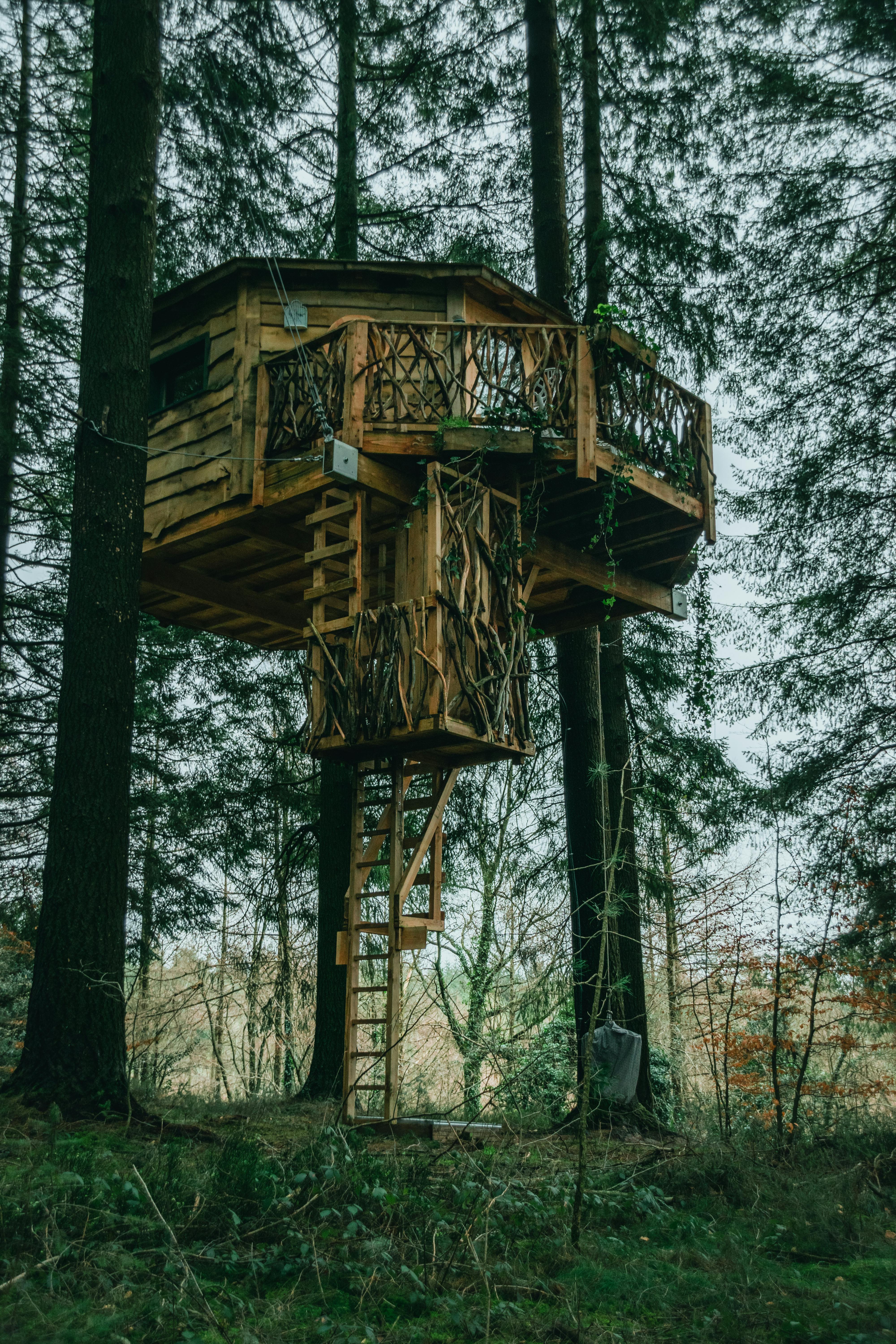 A cozy treehouse nestled among green leaves in the late afternoon light.